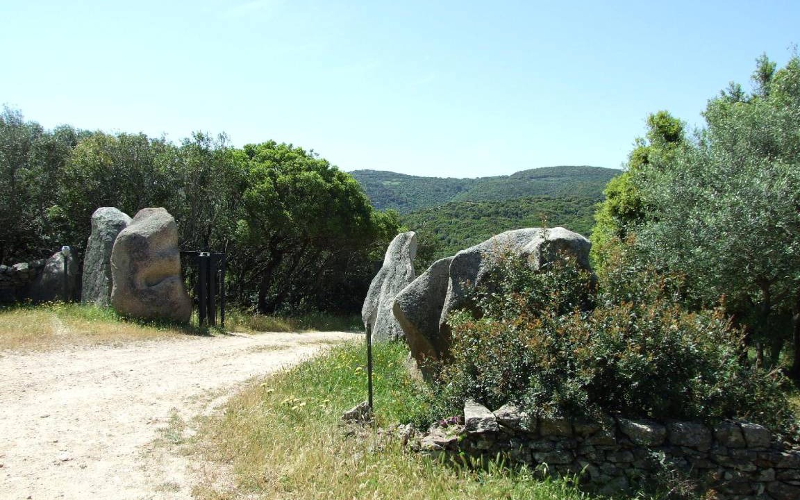 Photo of Others in Luogosanto