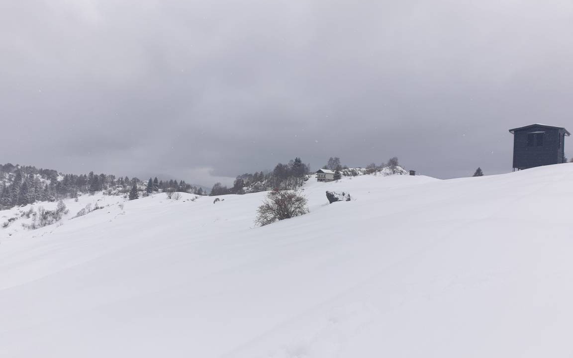 Photo of Others in Moggio