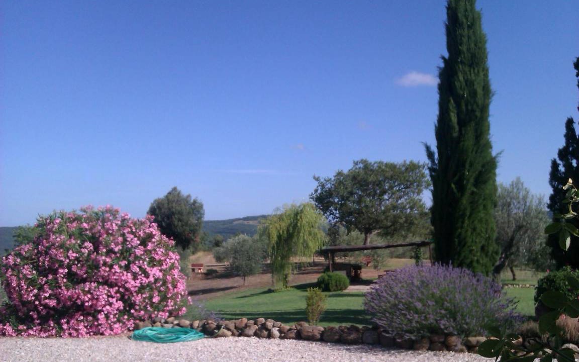 Photo of Others in Massa Marittima