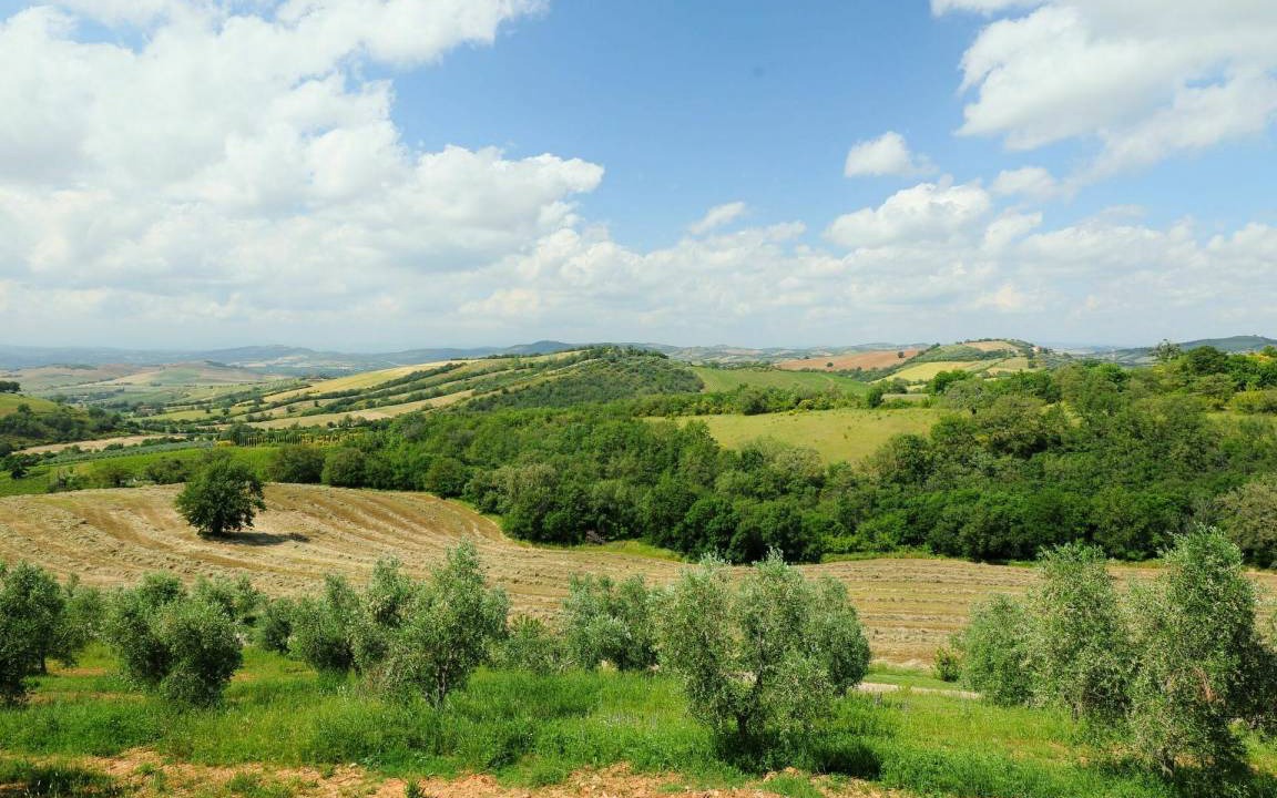 Photo of Others in Scansano