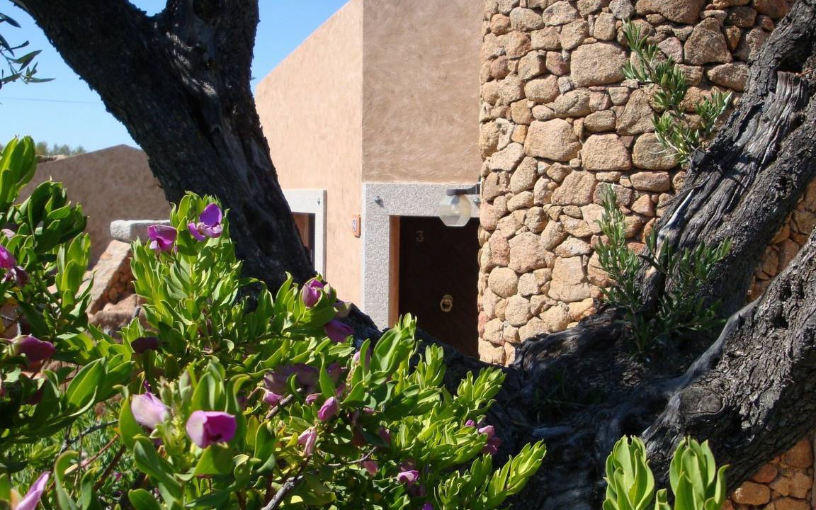 Photo of Buildings in Porto San Paolo