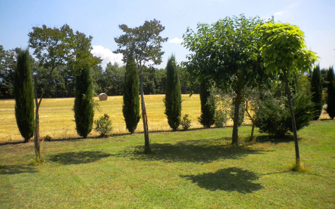 Photo of Others in Ferretto
