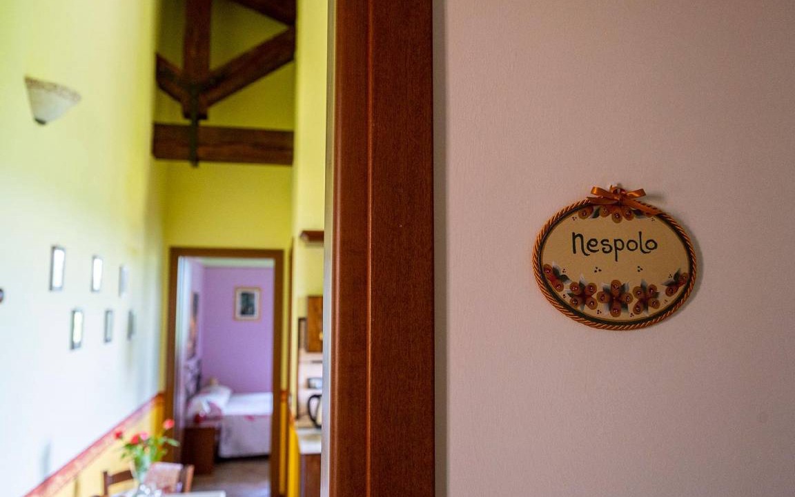Photo of Others in Cessapalombo