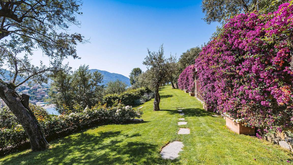 Photo of Others in Recco