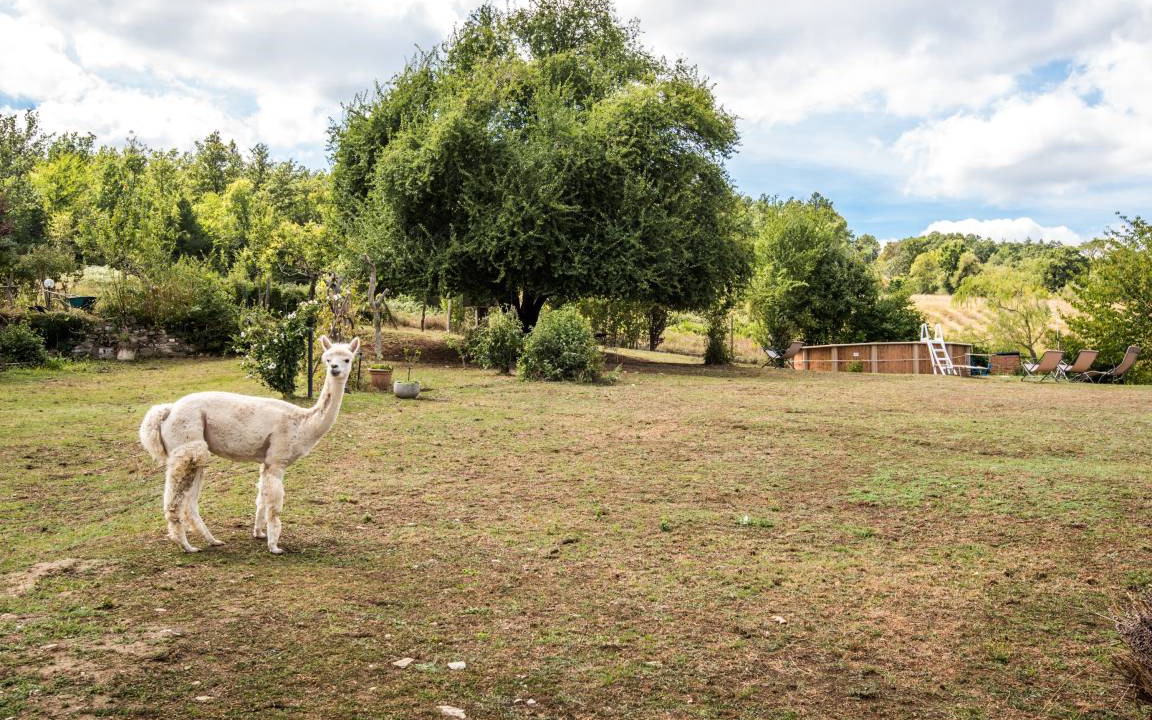 Photo of Others in Montieri