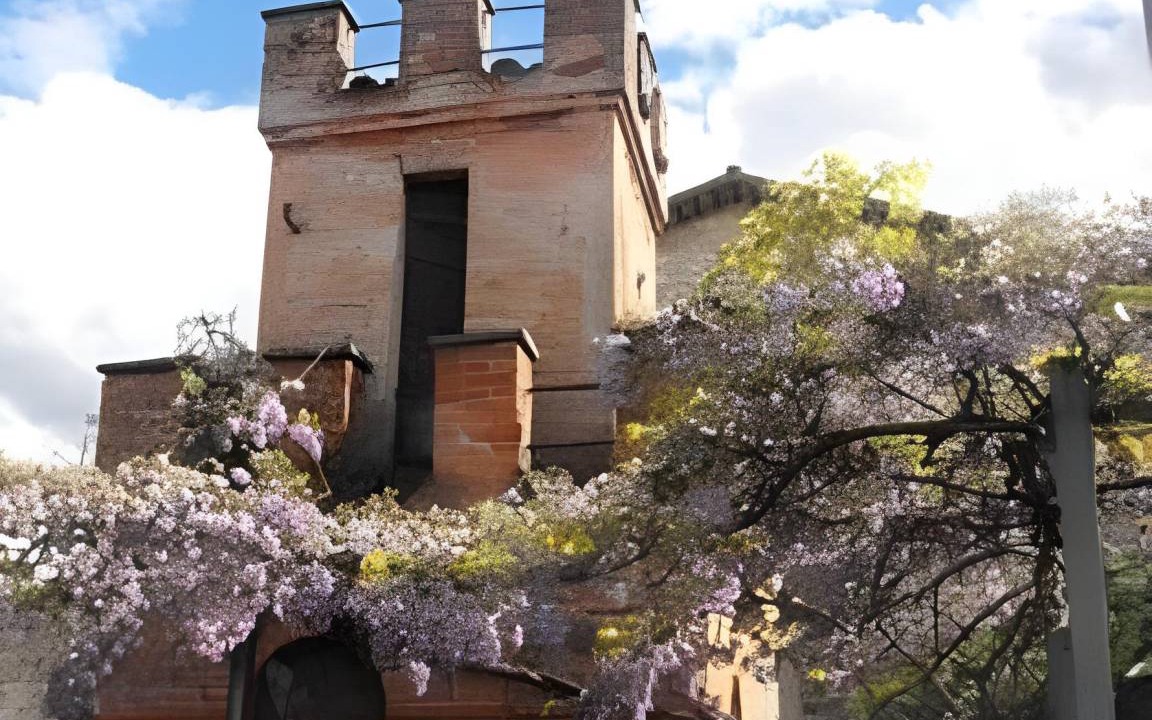Photo of Others in Centro Storico