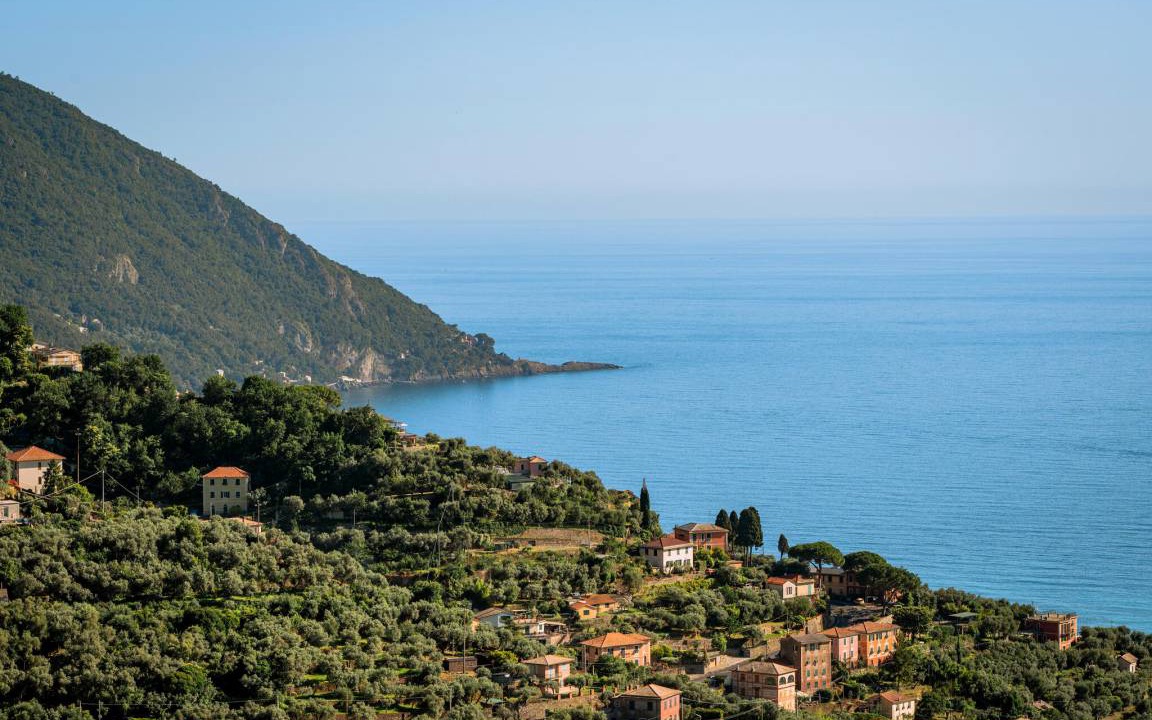 Photo of Others in Recco