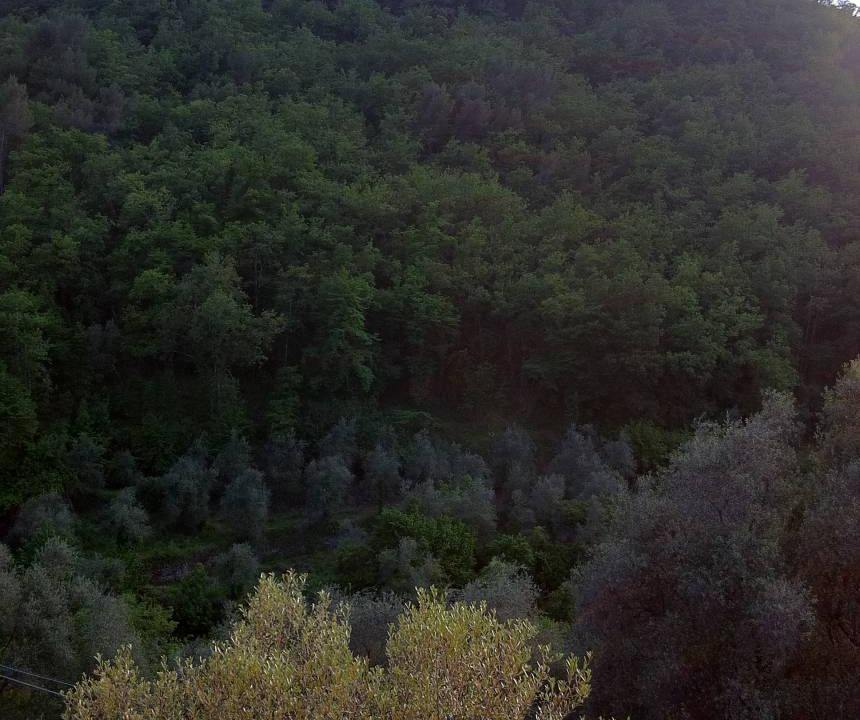 Photo of Others in Stellanello