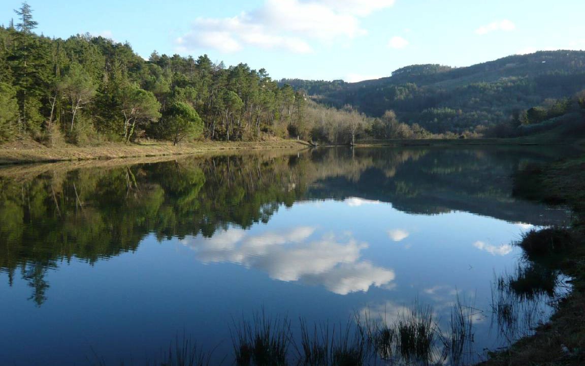 Photo of Others in Gaiole in Chianti