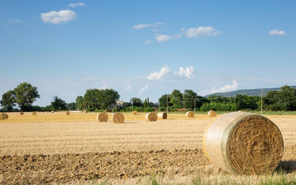 Photo of Others in Marsciano