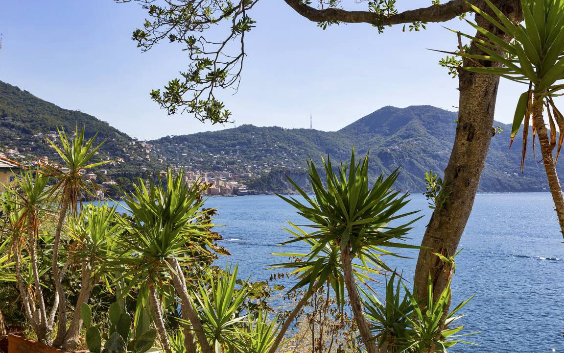 Photo of Others in Recco