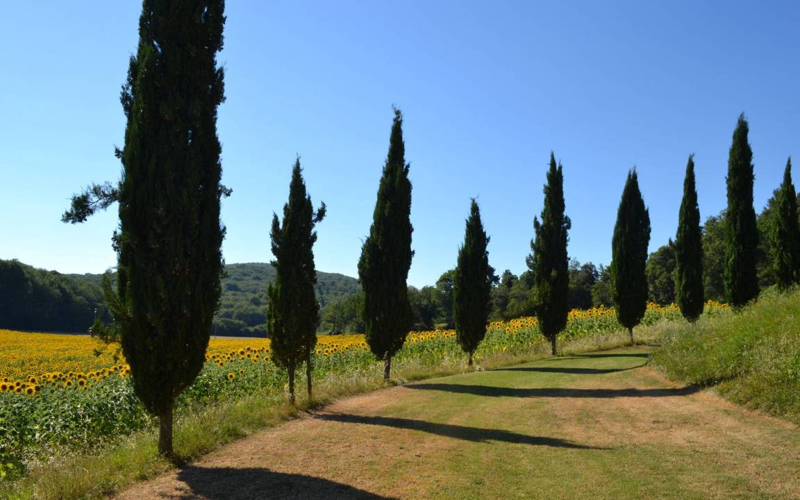 Photo of Others in Simignano