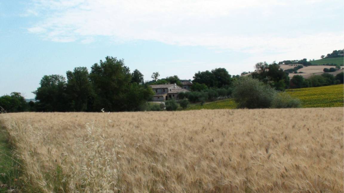 Photo of Others in Fossombrone