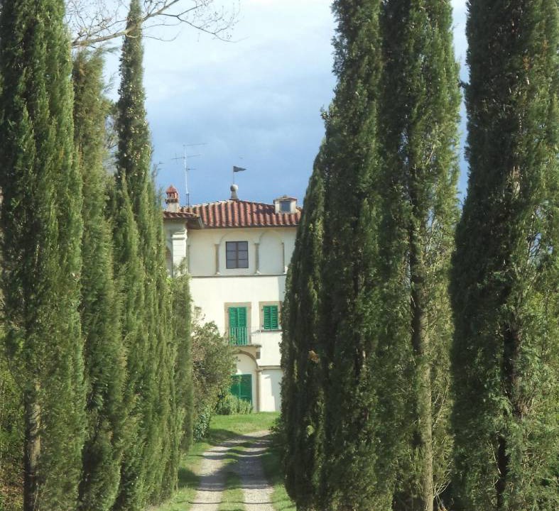 Photo of Others in Arezzo