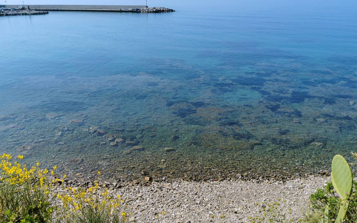 Photo of Others in Marina di Casal Velino