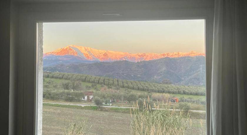 Photo of Others in Ascoli Piceno