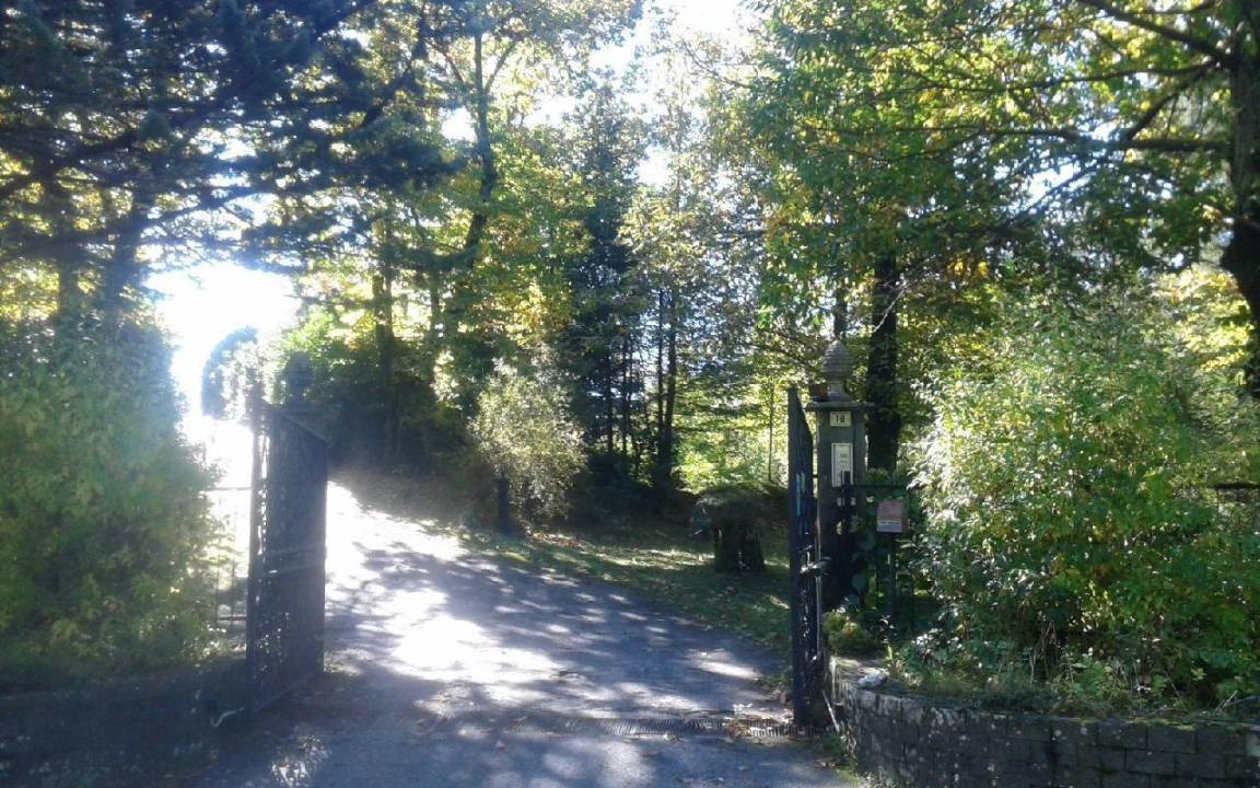 Photo of Outdoor in Borzonasca