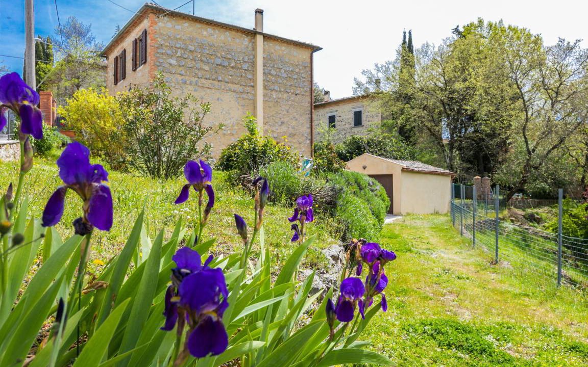 Photo of Others in Montefollonico