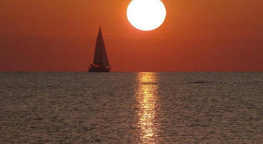 Photo of Human In Picture in Pineta