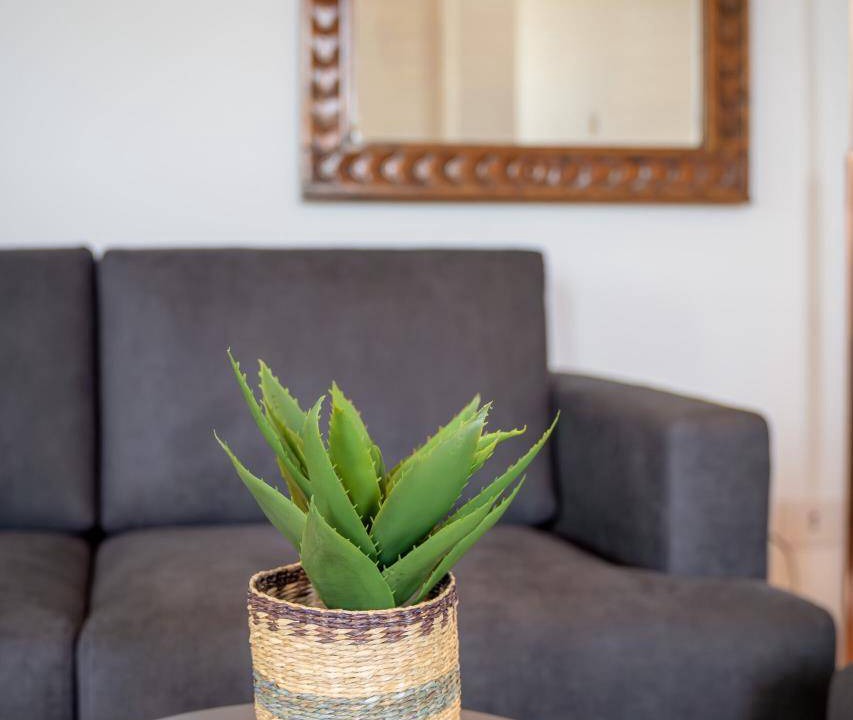 Photo of Livingroom in Torre di Mosto