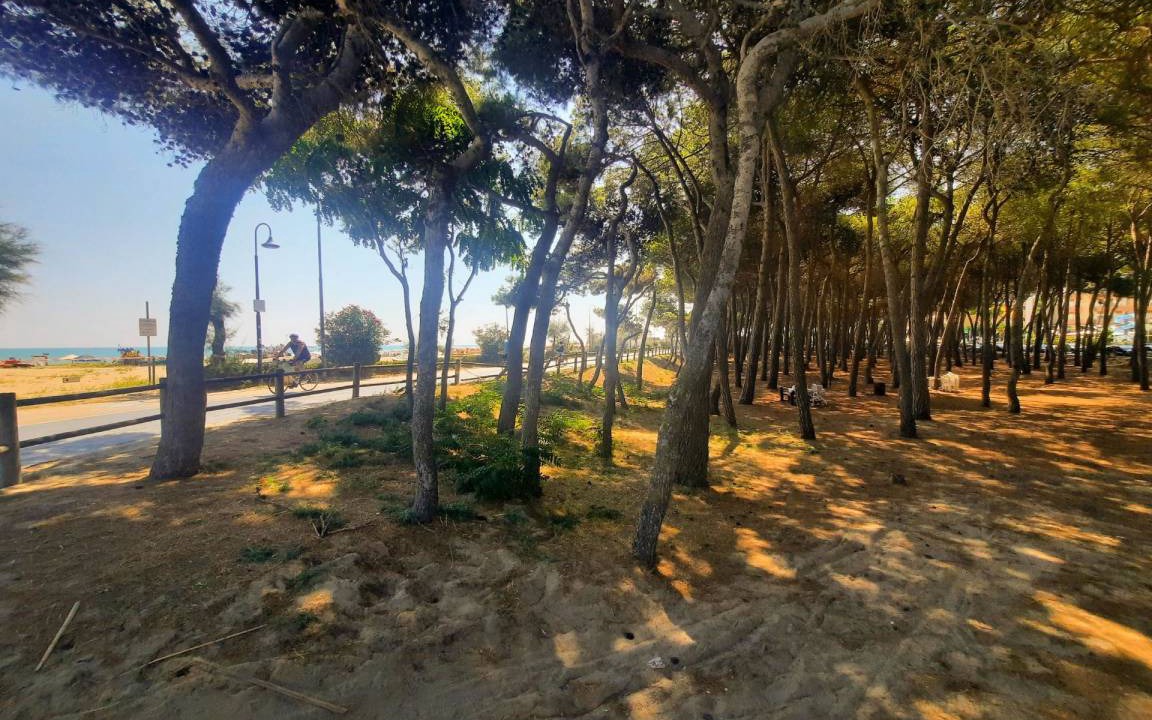 Photo of Others in Alba Adriatica