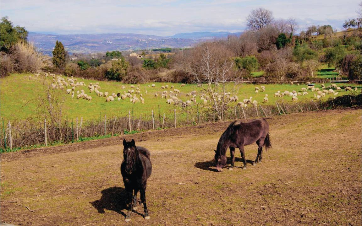 Photo of Others in Scansano