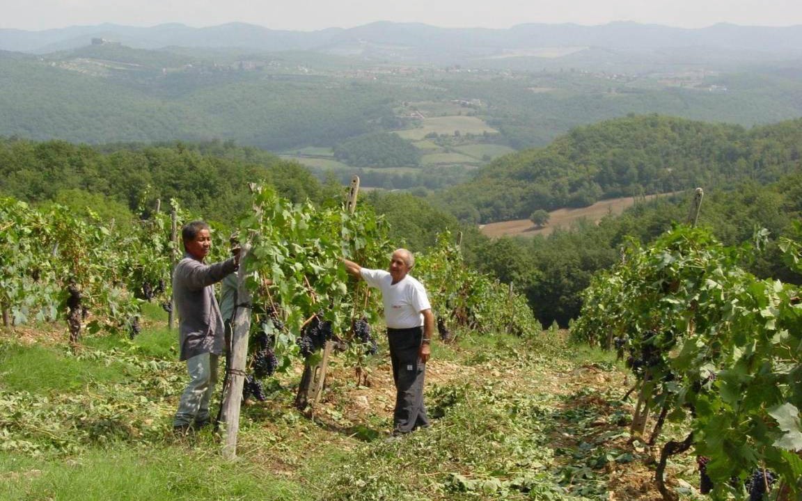 Photo of Others in Castelnuovo Berardenga