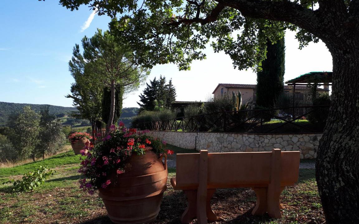 Photo of Others in Massa Marittima