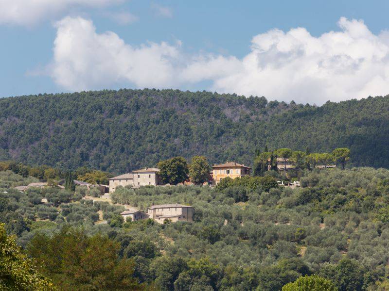 Photo of Others in Sovicille
