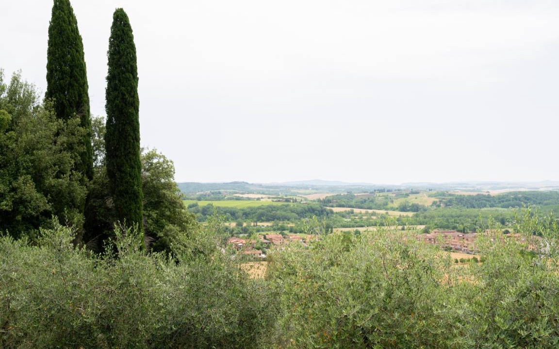 Photo of Others in Ponte di Gabbiano