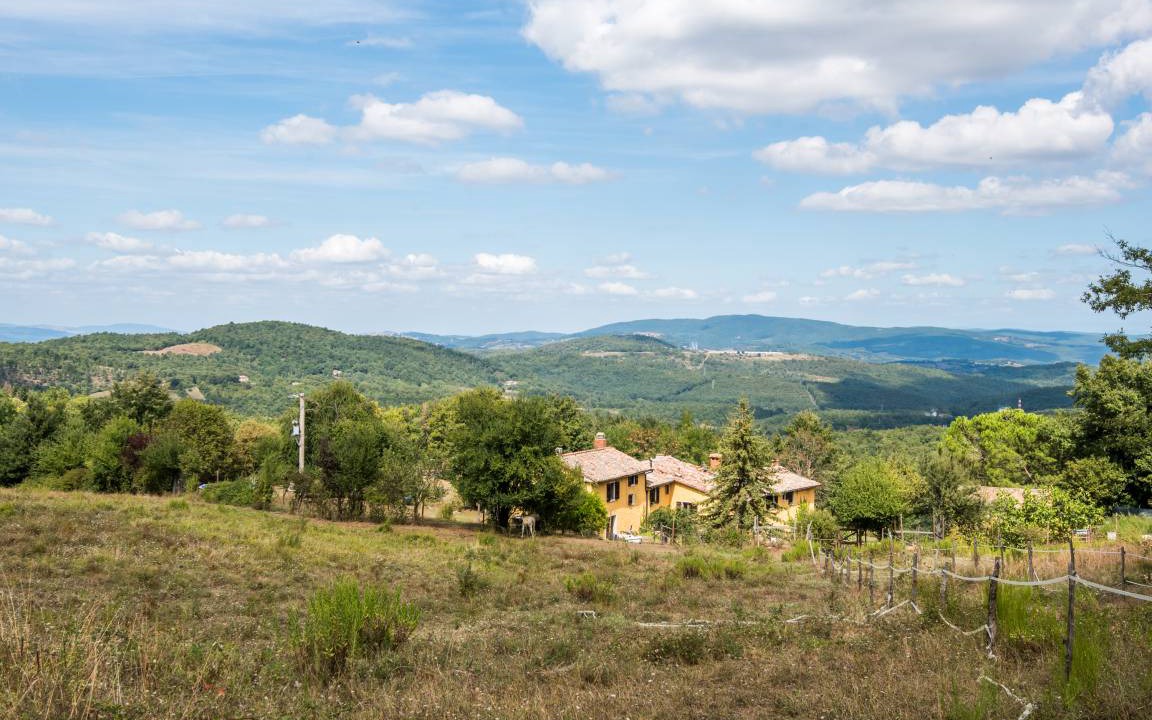 Photo of Others in Montieri