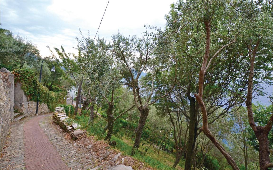Photo of Others in Pieve Ligure