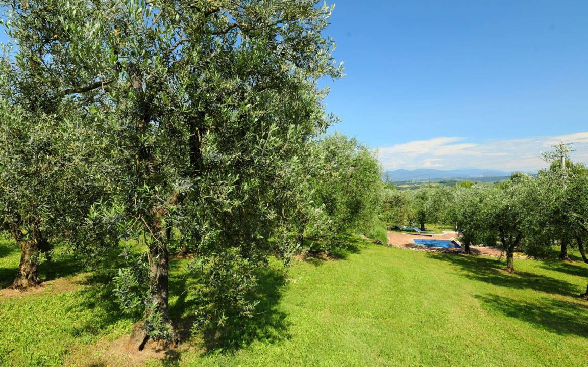 Photo of Others in Penna in Teverina
