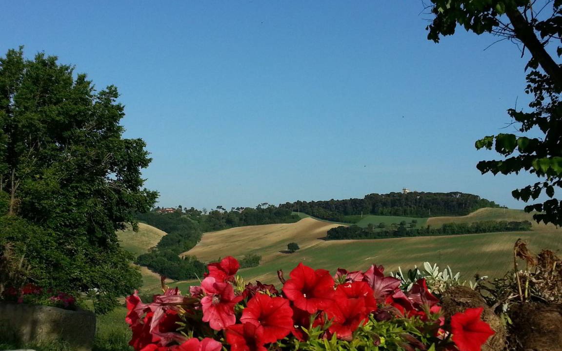 Photo of Outdoor in Loreto