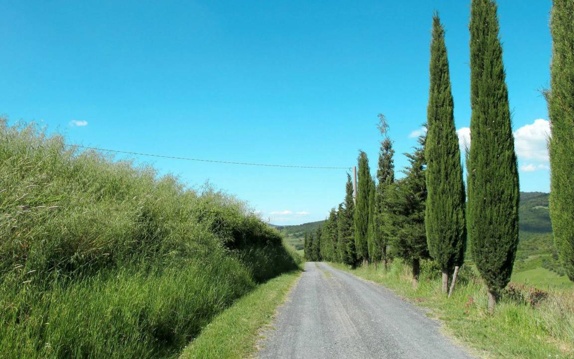Photo of Others in Volterra