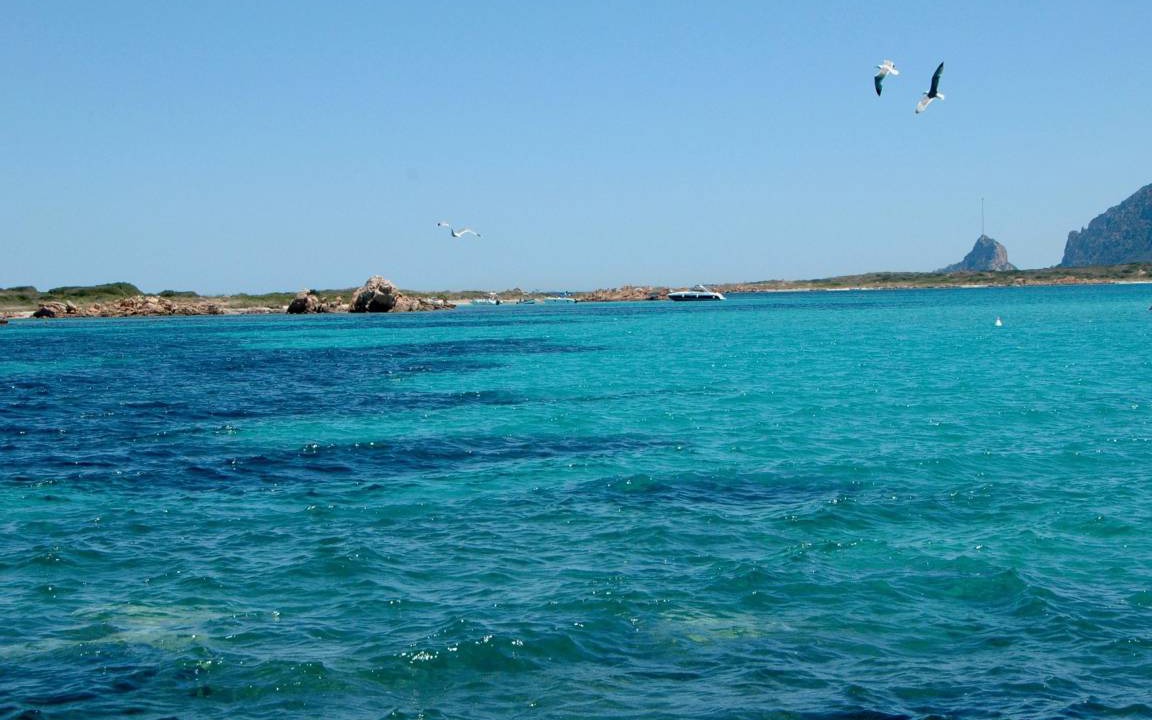 Photo of Others in Porto San Paolo