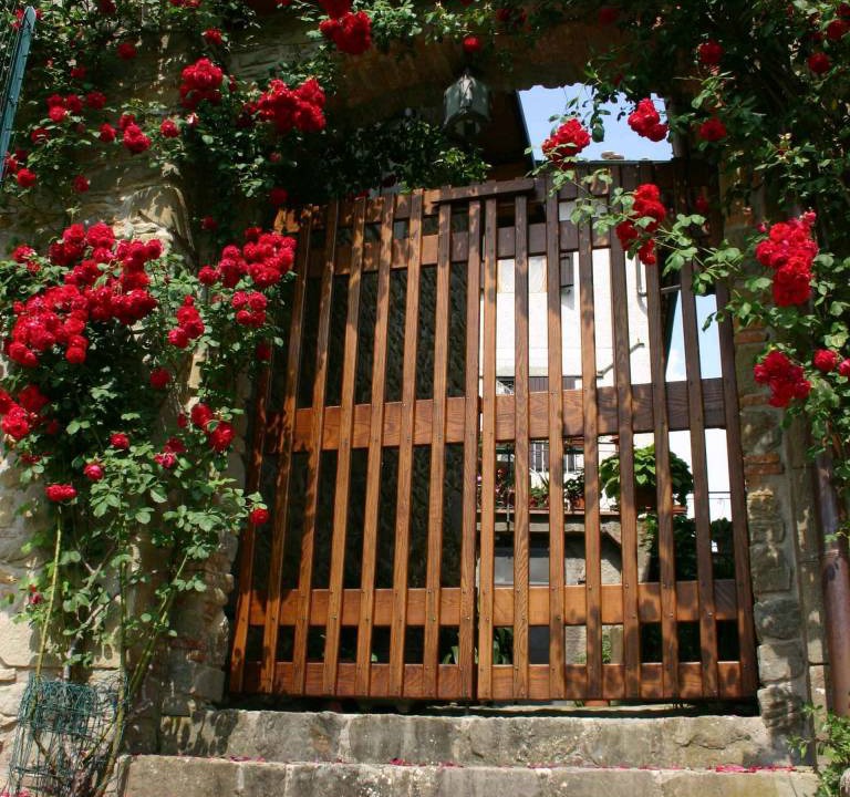 Photo of Others in Castelnuovo di Garfagnana