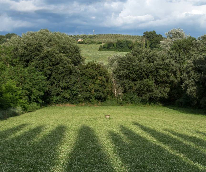 Photo of Others in Schifanoia