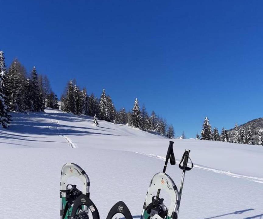 Photo of Others in Auronzo di Cadore