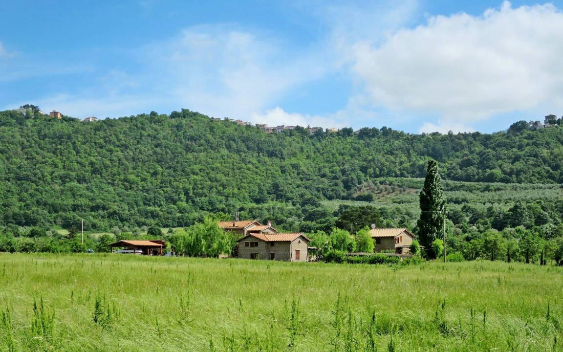 Photo of Others in Montefiascone