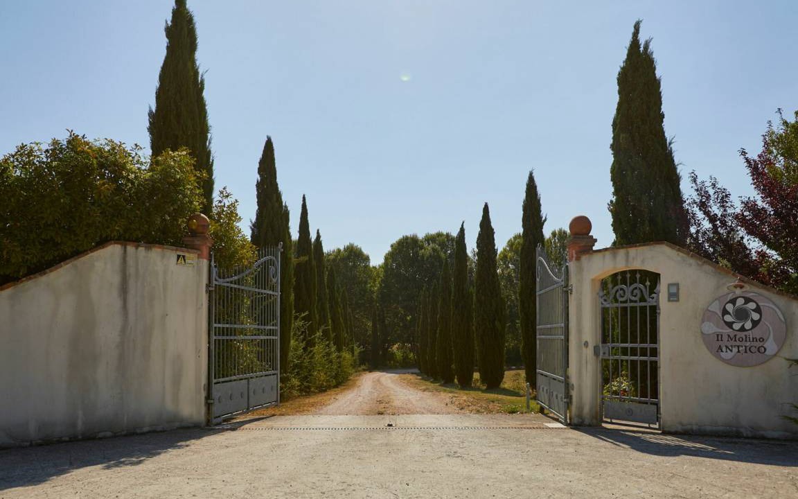 Photo of Others in San Brizio