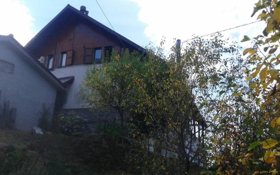 Photo of Others in Borzonasca
