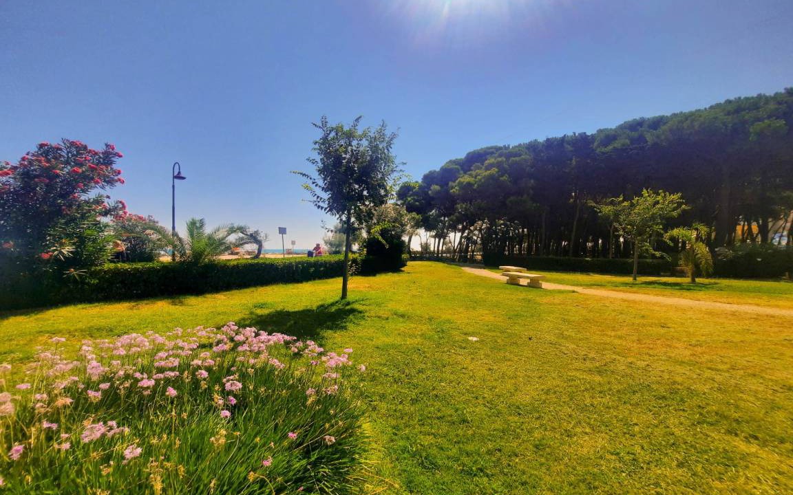Photo of Others in Alba Adriatica