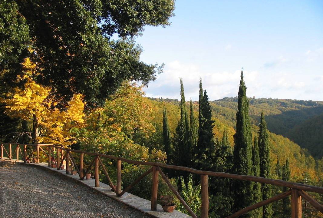 Photo of Others in Anghiari