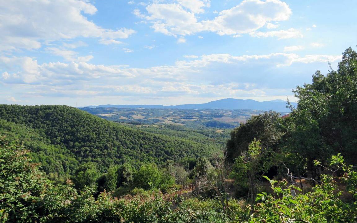 Photo of Others in Paciano