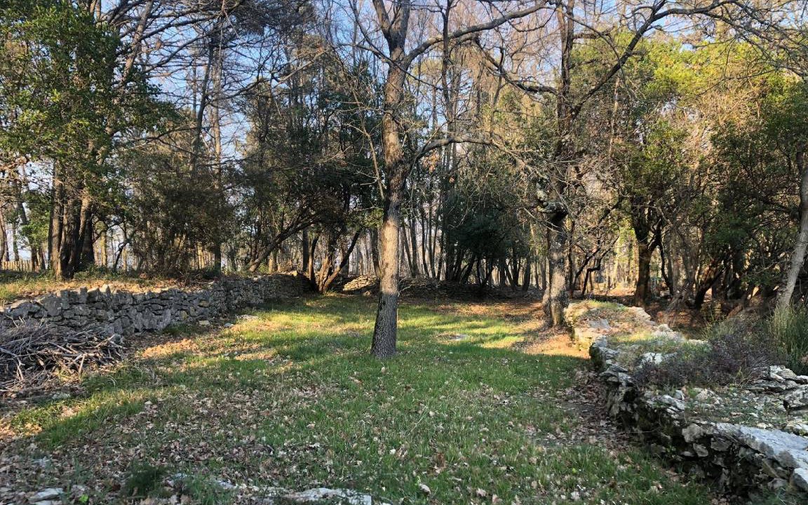 Photo of Others in Montemarcello