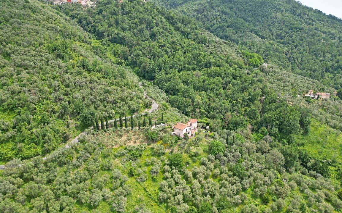 Photo of Others in Ortonovo