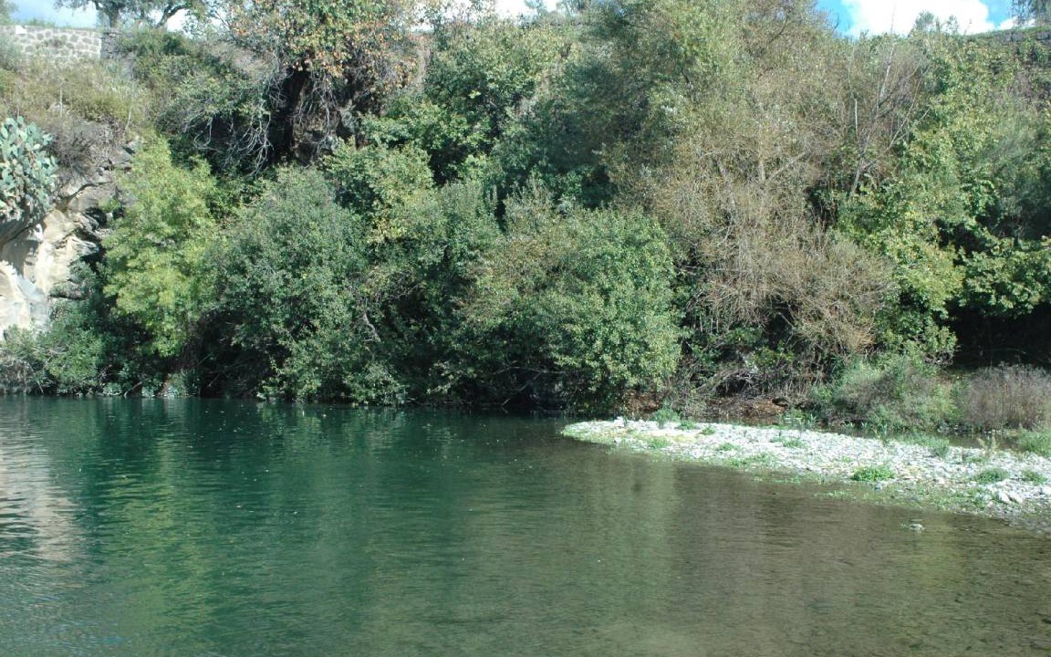 Photo of Others in Mitogio