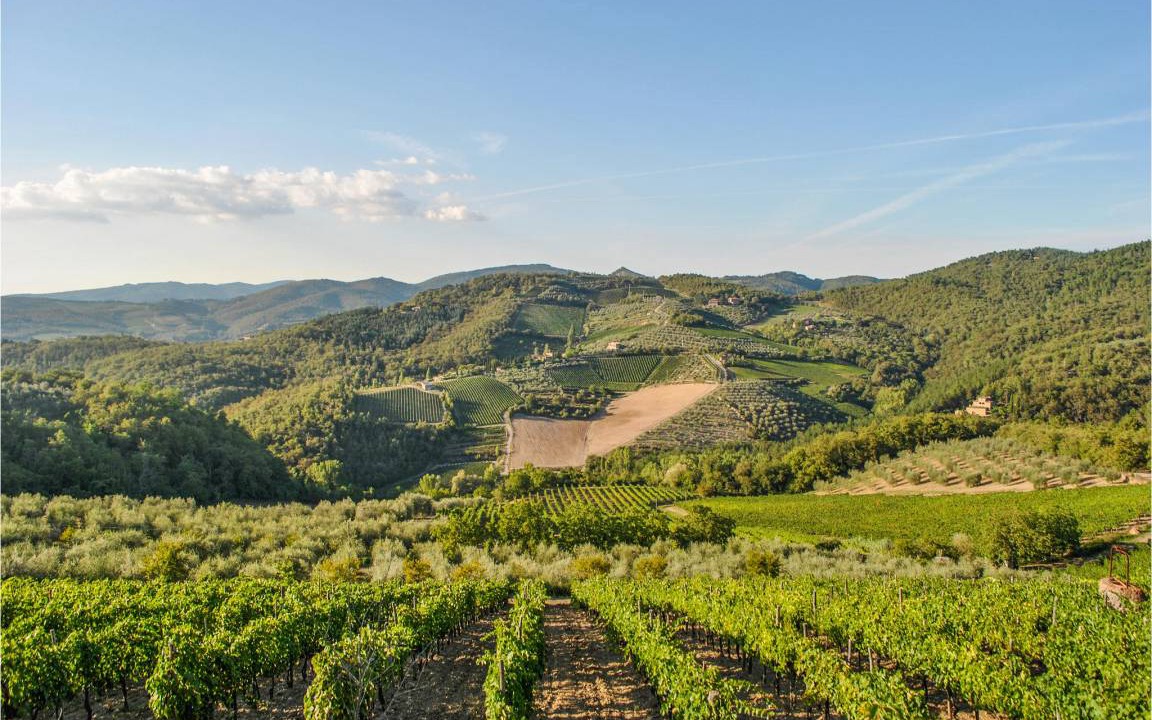 Photo of Others in Greve in Chianti