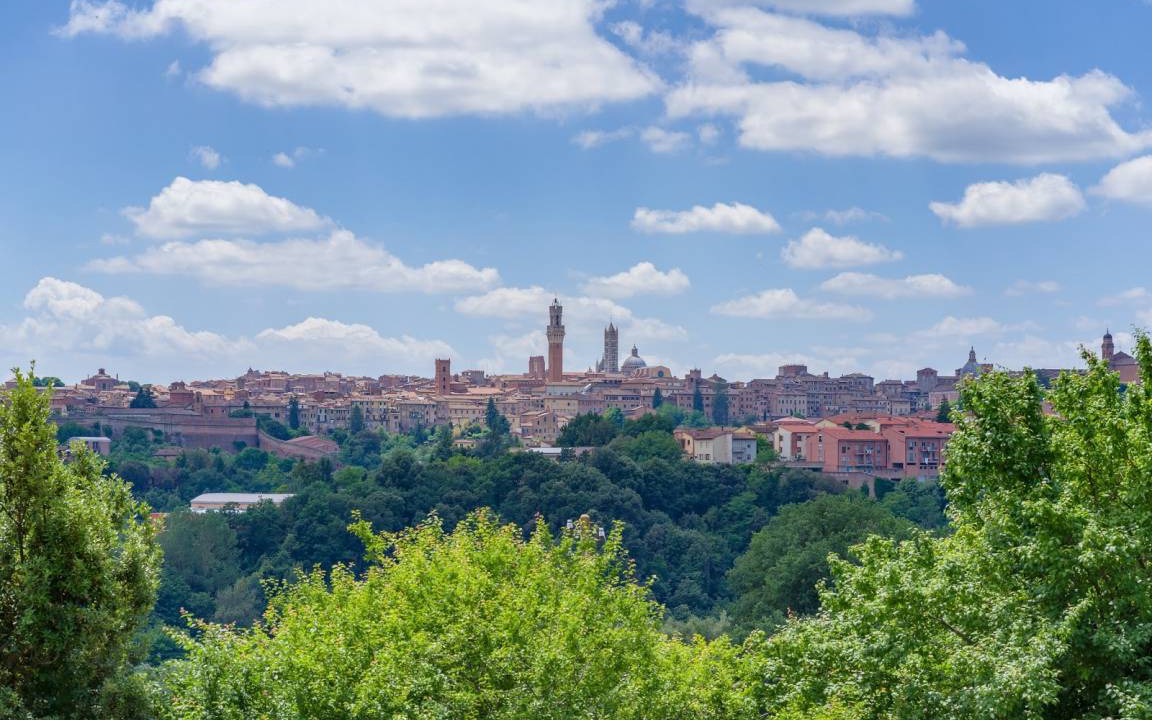 Photo of Others in Siena